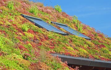 Gregynog living roof systems