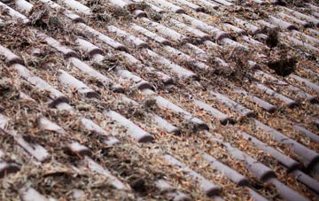 Gregynog roof cleaning companies