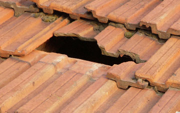 roof repair Gregynog, Powys